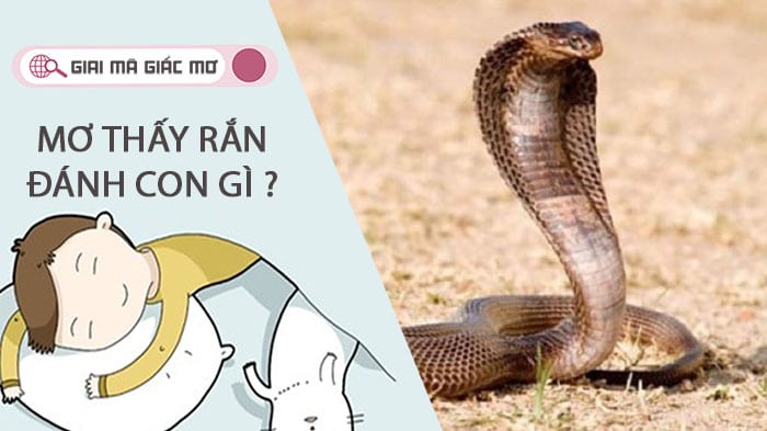 Giải mã giấc mơ đi đường gặp con rắn đánh con gì ?