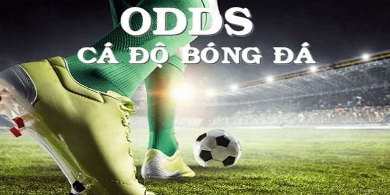 Phân loại các loại tỷ lệ Odds trong bóng đá